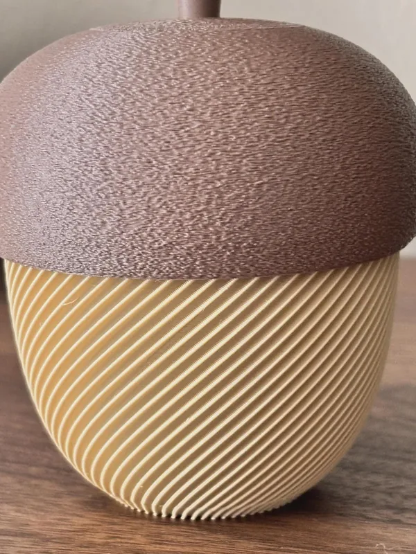 3D Printed Acorn Trinket Box by HappyLayer