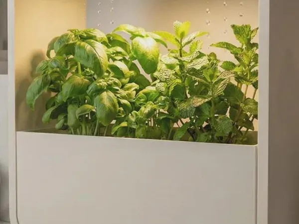 LED Rain Planter